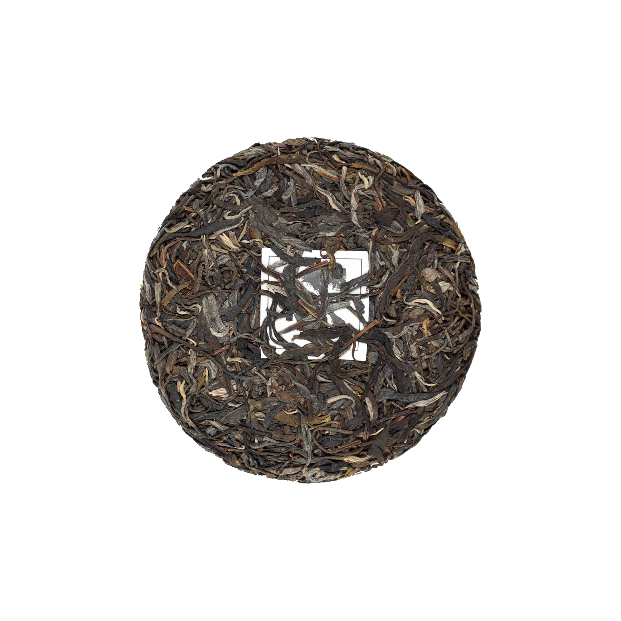 启顺古树普洱生茶