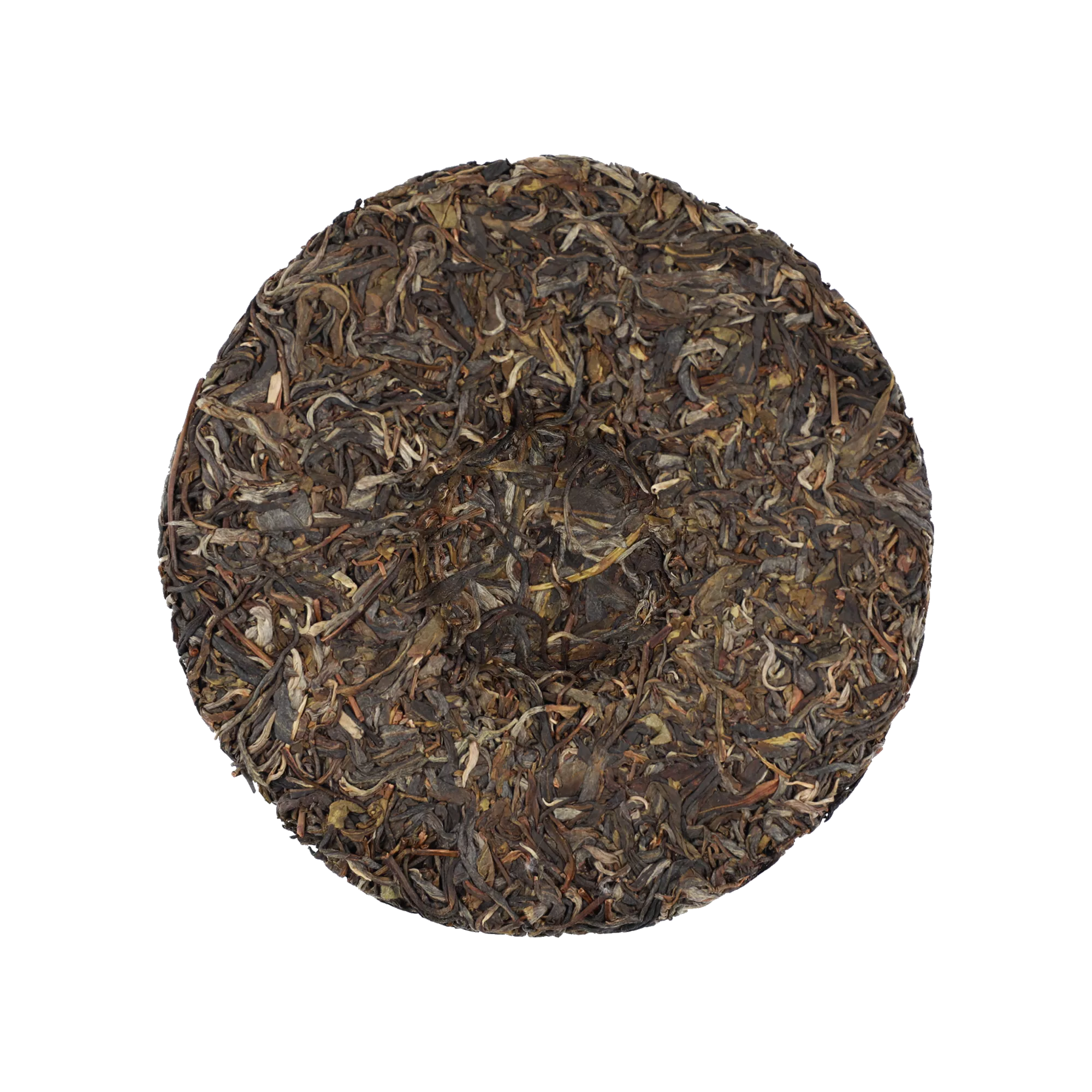 启顺古树普洱生茶