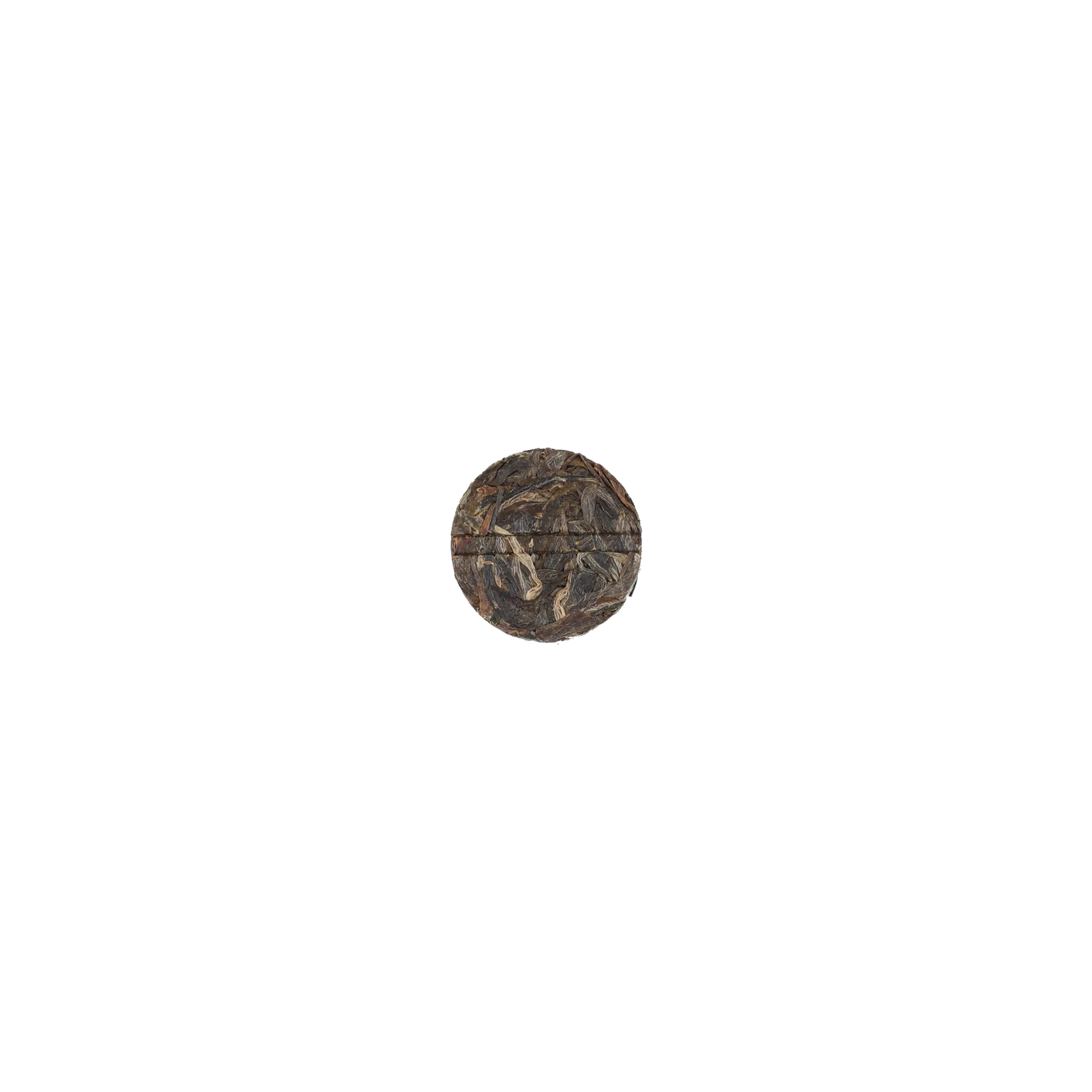 启顺古树普洱生茶