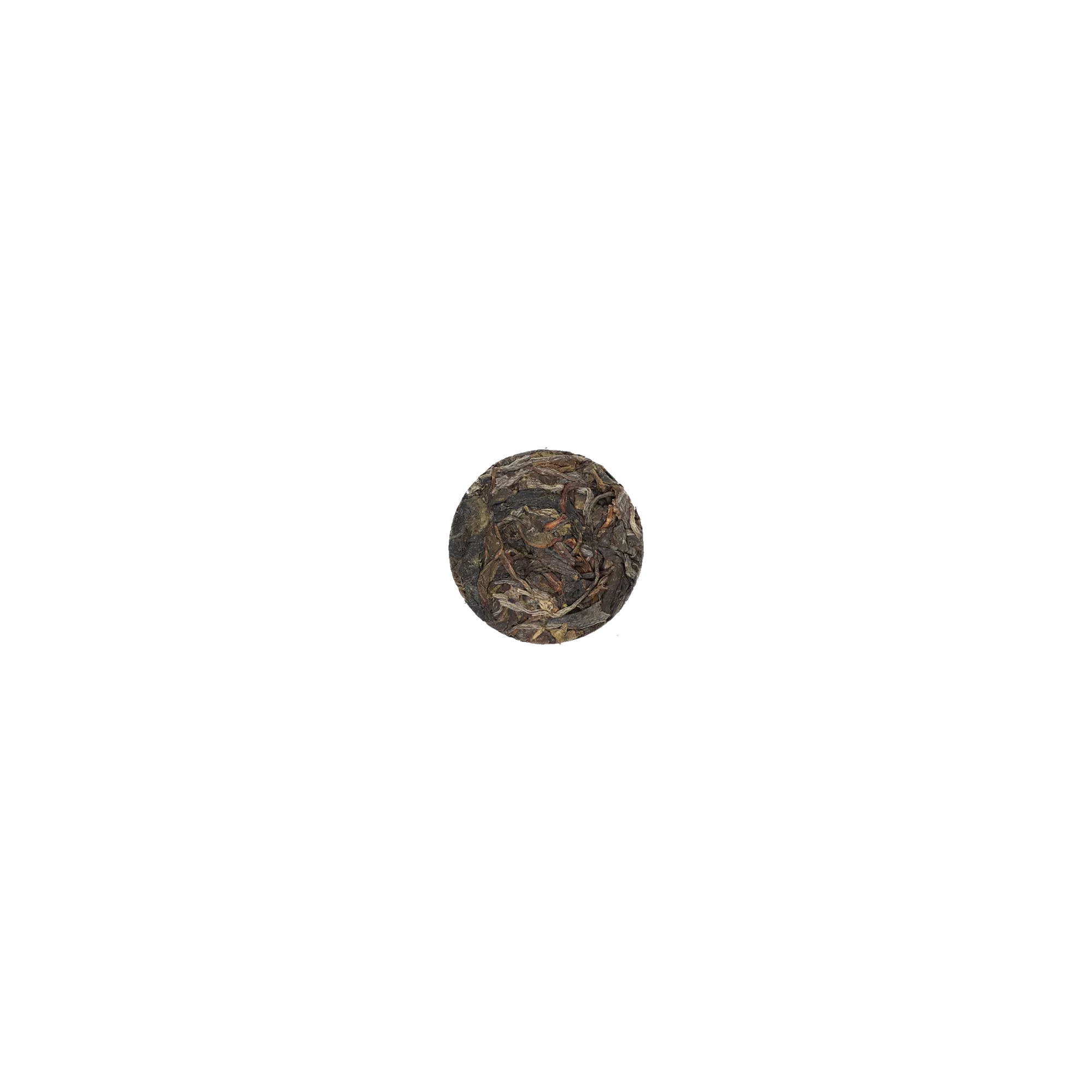 至合古树普洱生茶